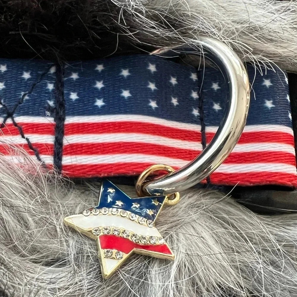 NEW without tags, Patriotic Dog Collar never used.
